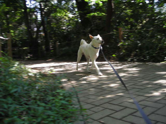 DSCN6939.JPG