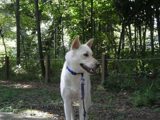 DSCN6970.JPG