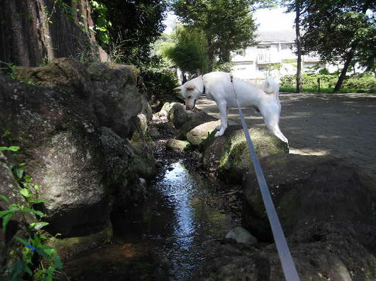 DSCN6977.JPG