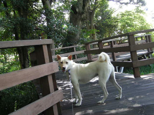DSCN6928.JPG