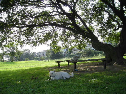 DSCN7066.JPG