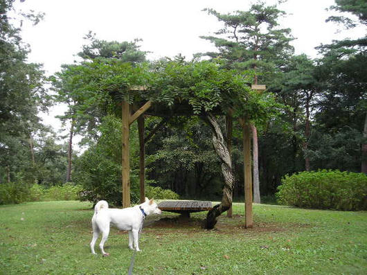 DSCN7204.JPG