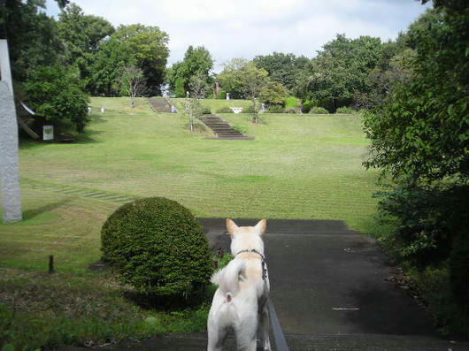 DSCN7208.JPG