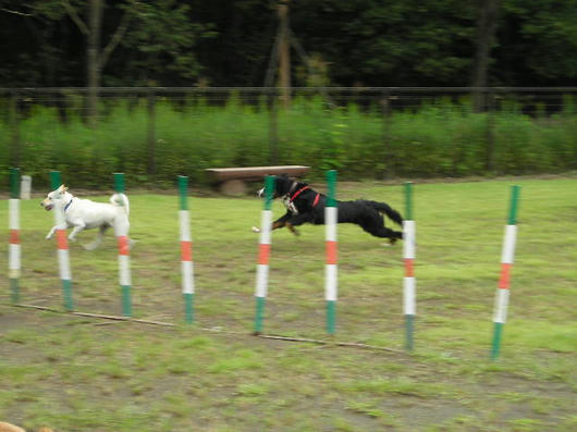 DSCN7236.JPG