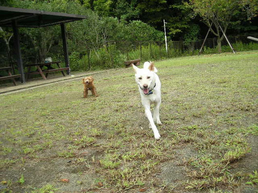 DSCN7252.JPG