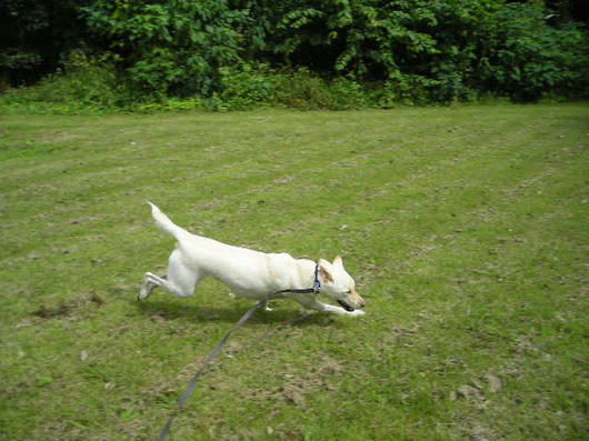 DSCN7209.JPG