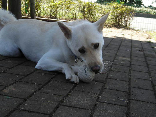 DSCN7419.JPG