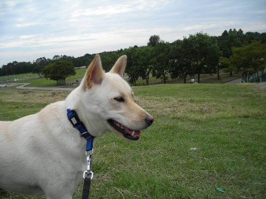 DSCN7437.JPG