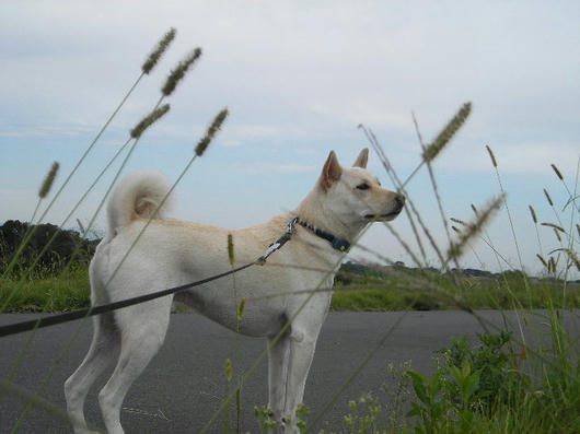 DSCN7456.JPG