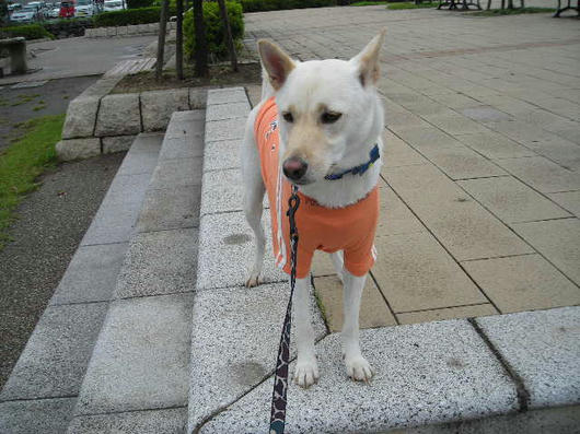 DSCN7562.JPG