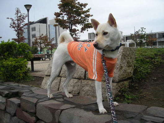 DSCN7563.JPG