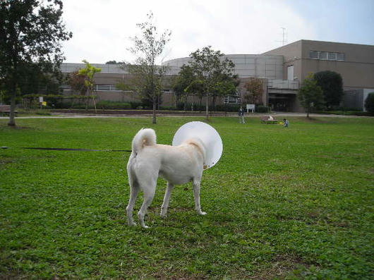 DSCN7797.JPG