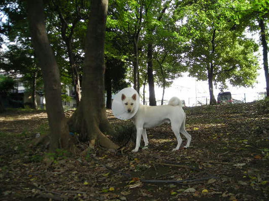 DSCN7832.JPG