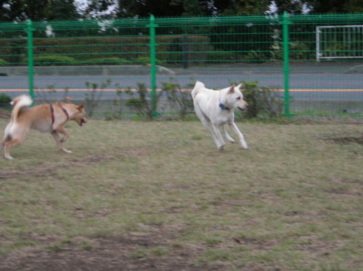 DSCN7843.JPG