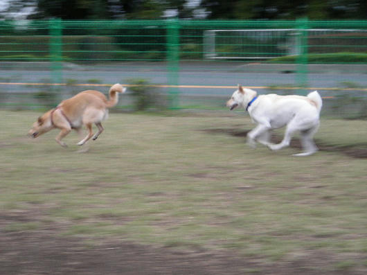 DSCN7842.JPG