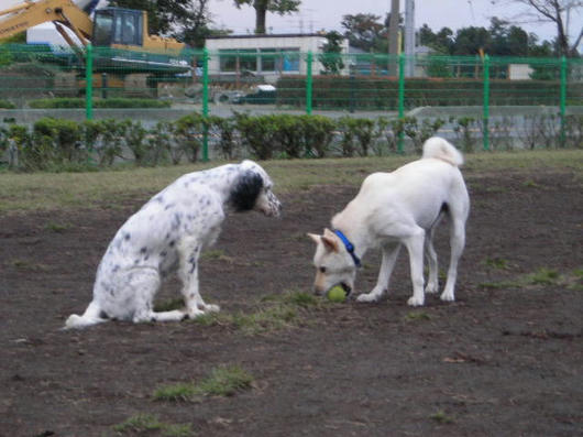 DSCN7854.JPG