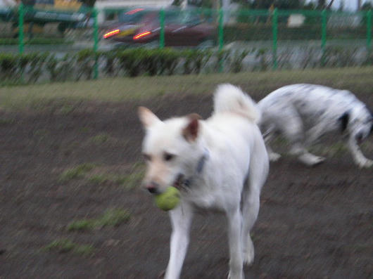 DSCN7855.JPG