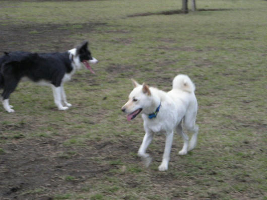 DSCN7849.JPG