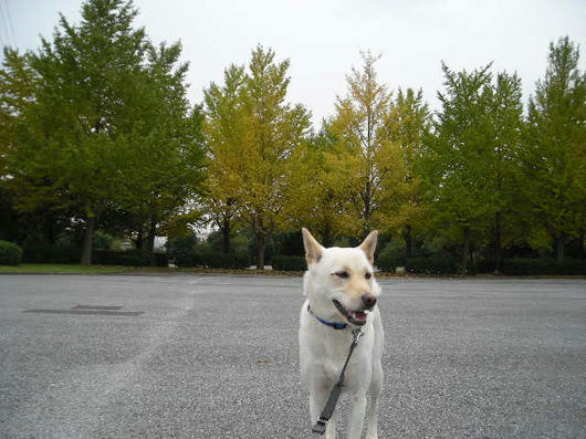 DSCN7990.JPG