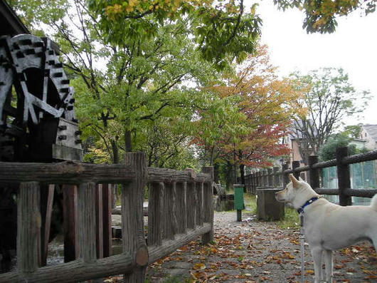 DSCN7984.JPG