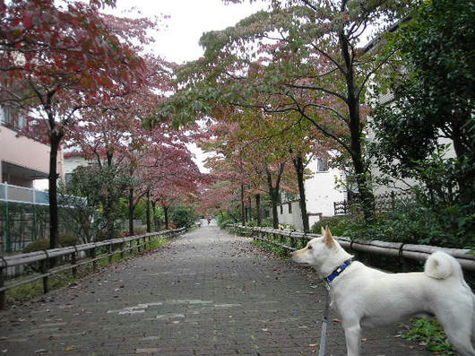 DSCN7982.JPG