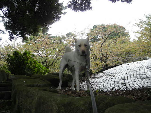 DSCN7970.JPG