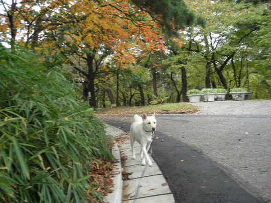 DSCN7937.JPG