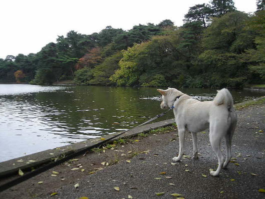 DSCN7951.JPG