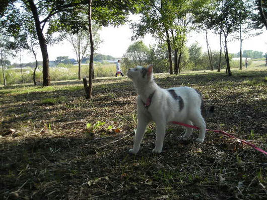 DSCN8108.JPG