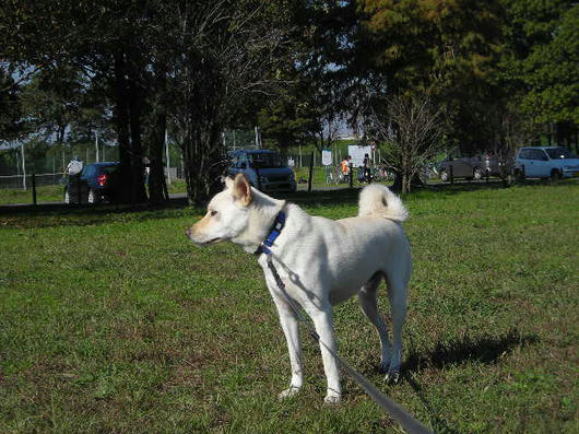DSCN8150.JPG