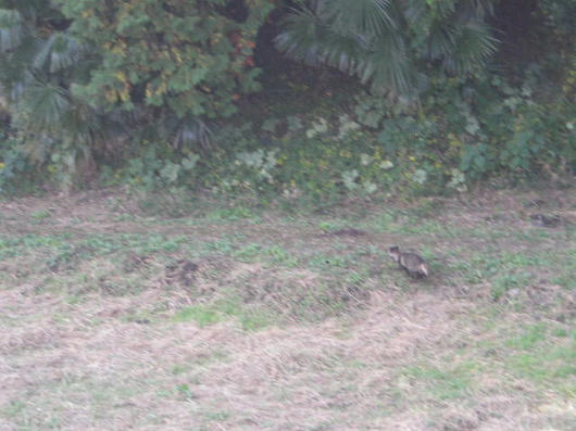 DSCN8230.JPG