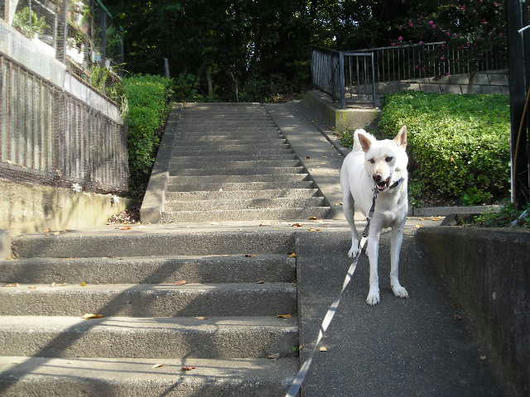 DSCN8262.JPG