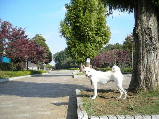 DSCN8272.JPG