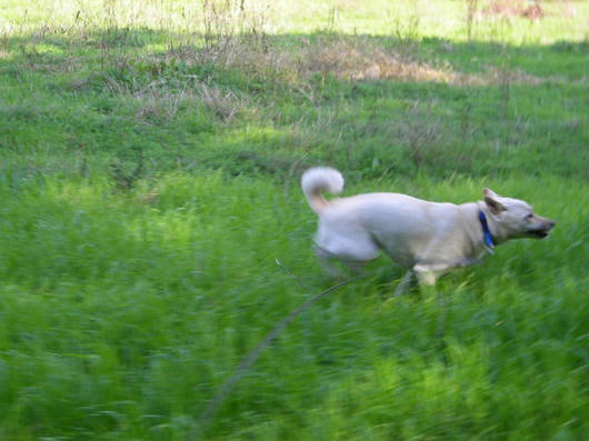DSCN8229.JPG