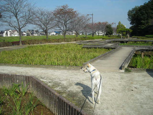 DSCN8273.JPG