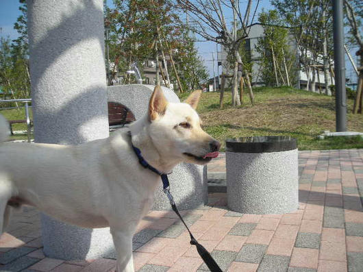 DSCN8322.JPG