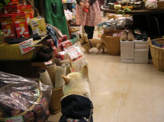 DSCN8358.JPG