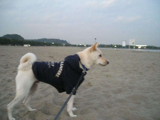 DSCN8573.JPG