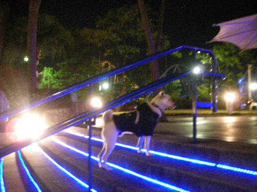 DSCN8641.JPG