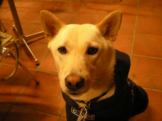 DSCN8633.JPG
