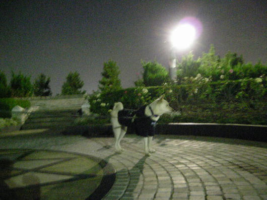 DSCN8644.JPG