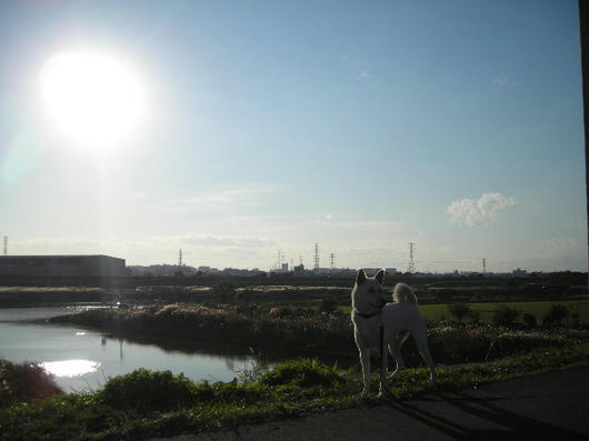 DSCN8650.JPG