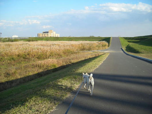 DSCN8652.JPG