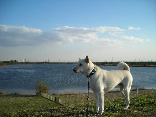 DSCN8672.JPG