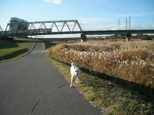 DSCN8659.JPG