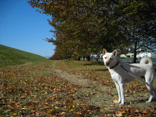 DSCN8722.JPG