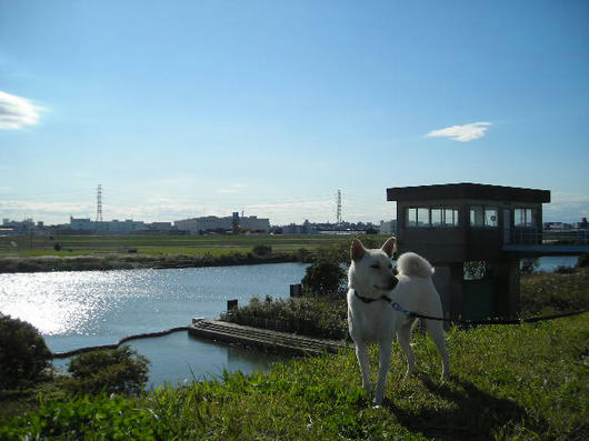 DSCN8750.JPG