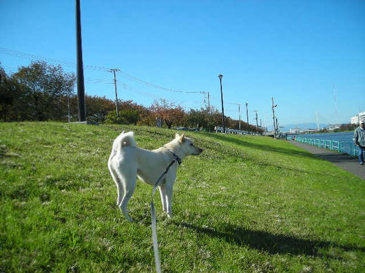 DSCN8715.JPG