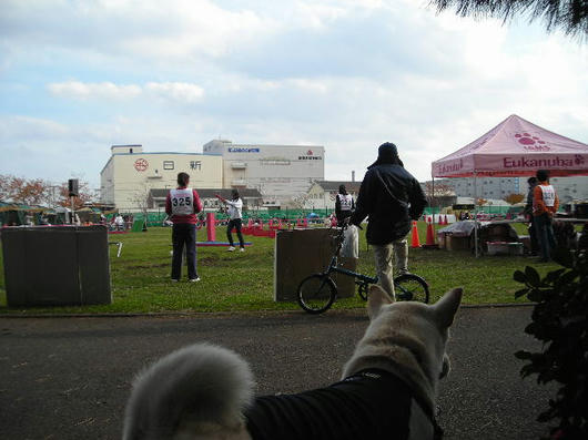DSCN8980.JPG