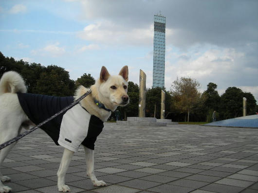 DSCN9013.JPG